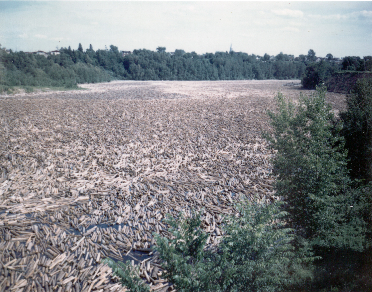 71-07, 03, Log Jam in Baltiscan River, Quebece, CA