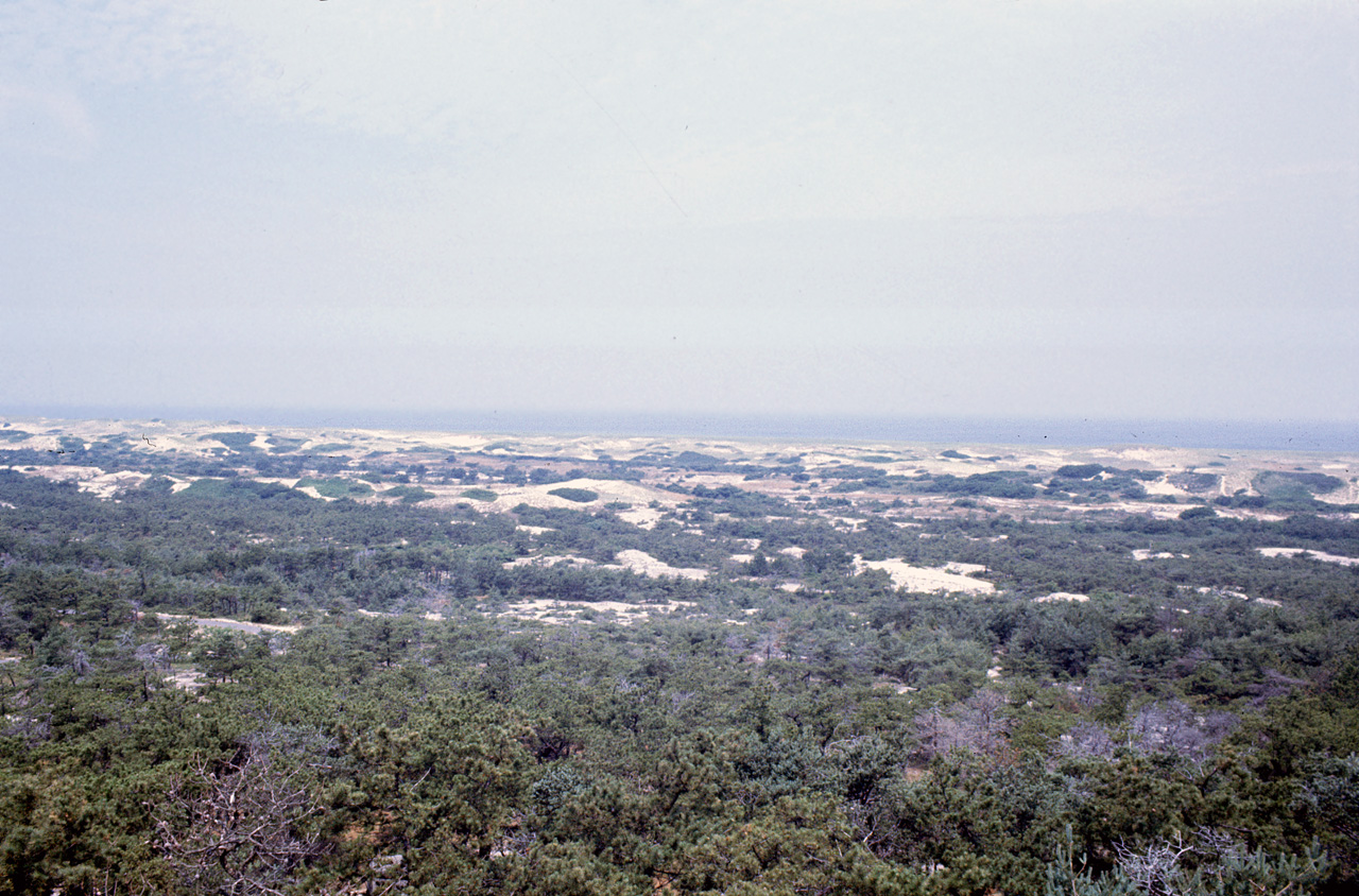 72-07-01, 004, View North, Cape Cod Point, Mass