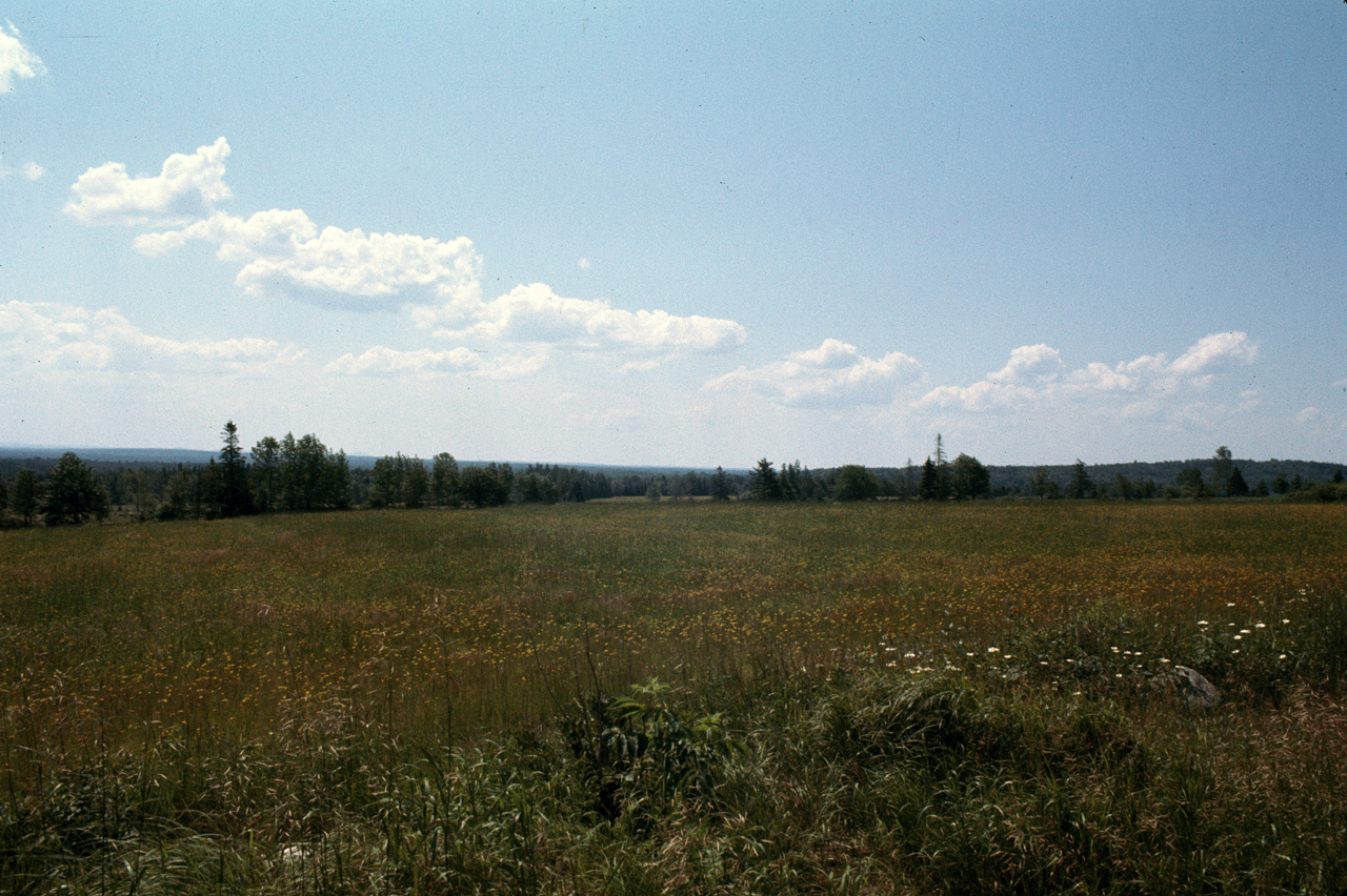 72-07-01, 051, Country Side, Rt 6, New Brunswick, Ca