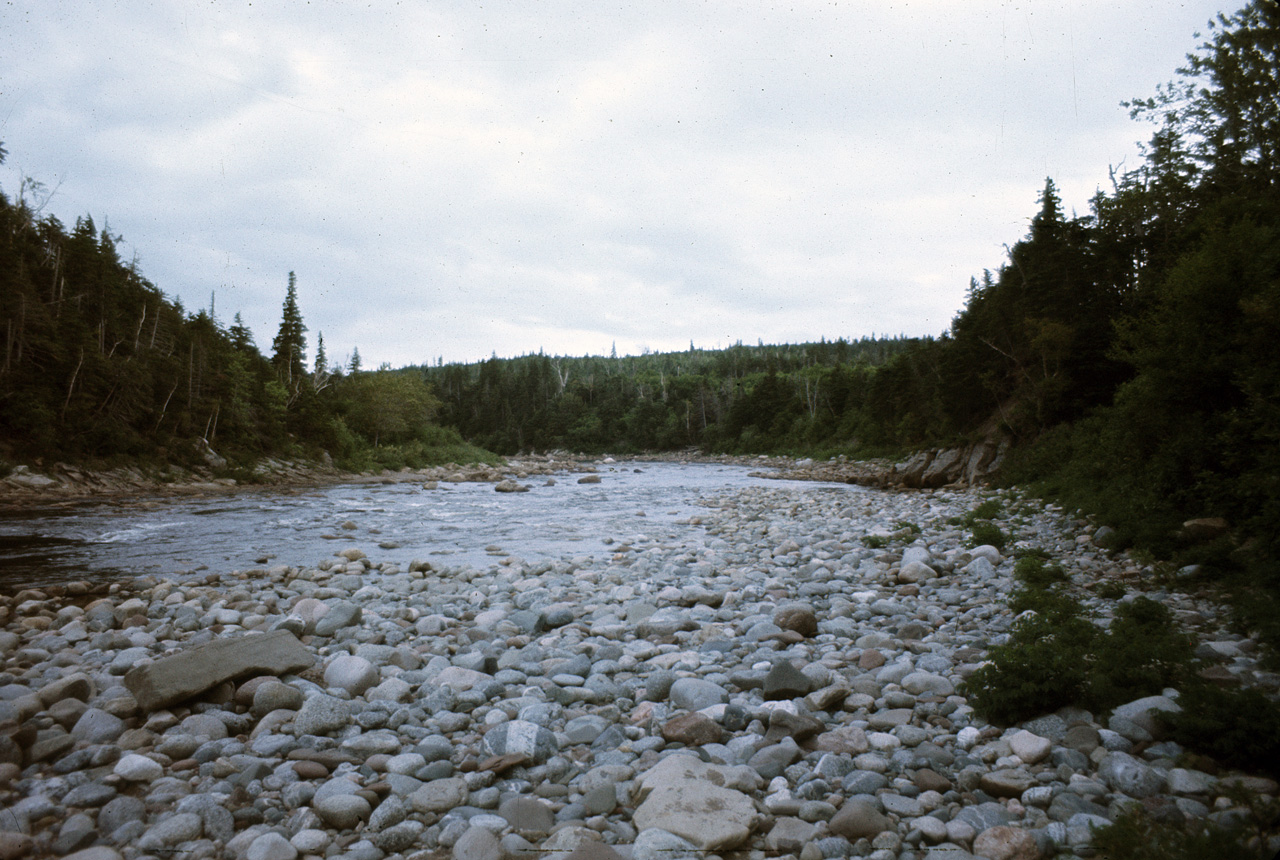 72-07-01, 117, Crabbes River, New Foundland, Ca