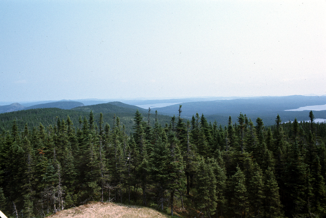 72-07-01, 125, Terra Nova Park North East, New Foundland, Ca