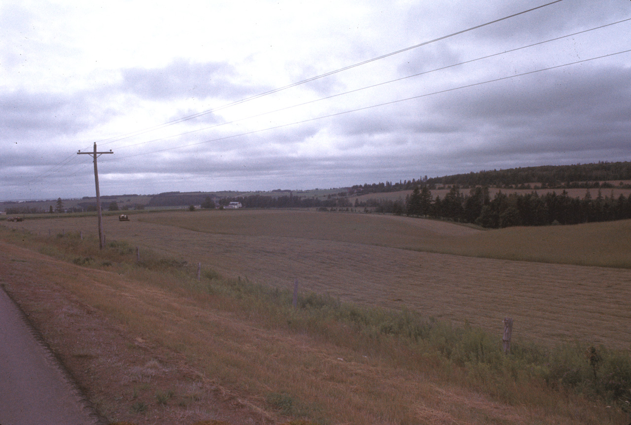 72-07-01, 232, Roadside View Prince Edward Island, Ca