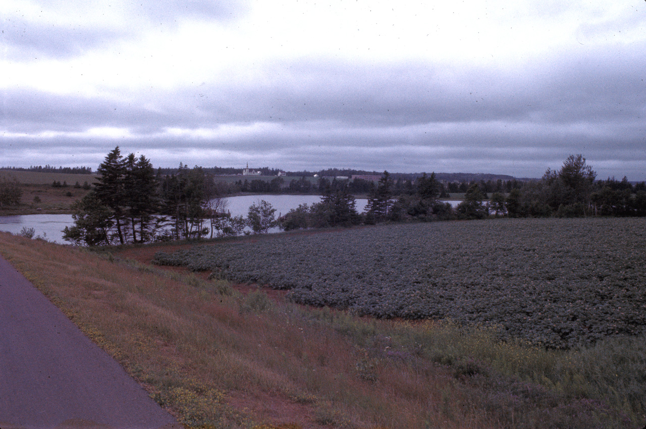 72-07-01, 233, Roadside View Prince Edward Island, Ca