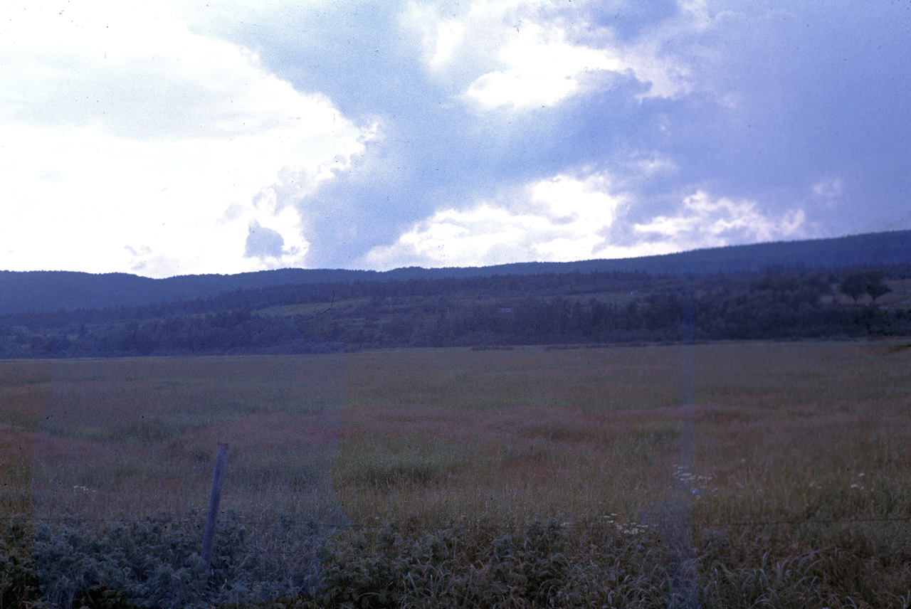 72-07-01, 242, Roadside View, New Brunswick, Ca