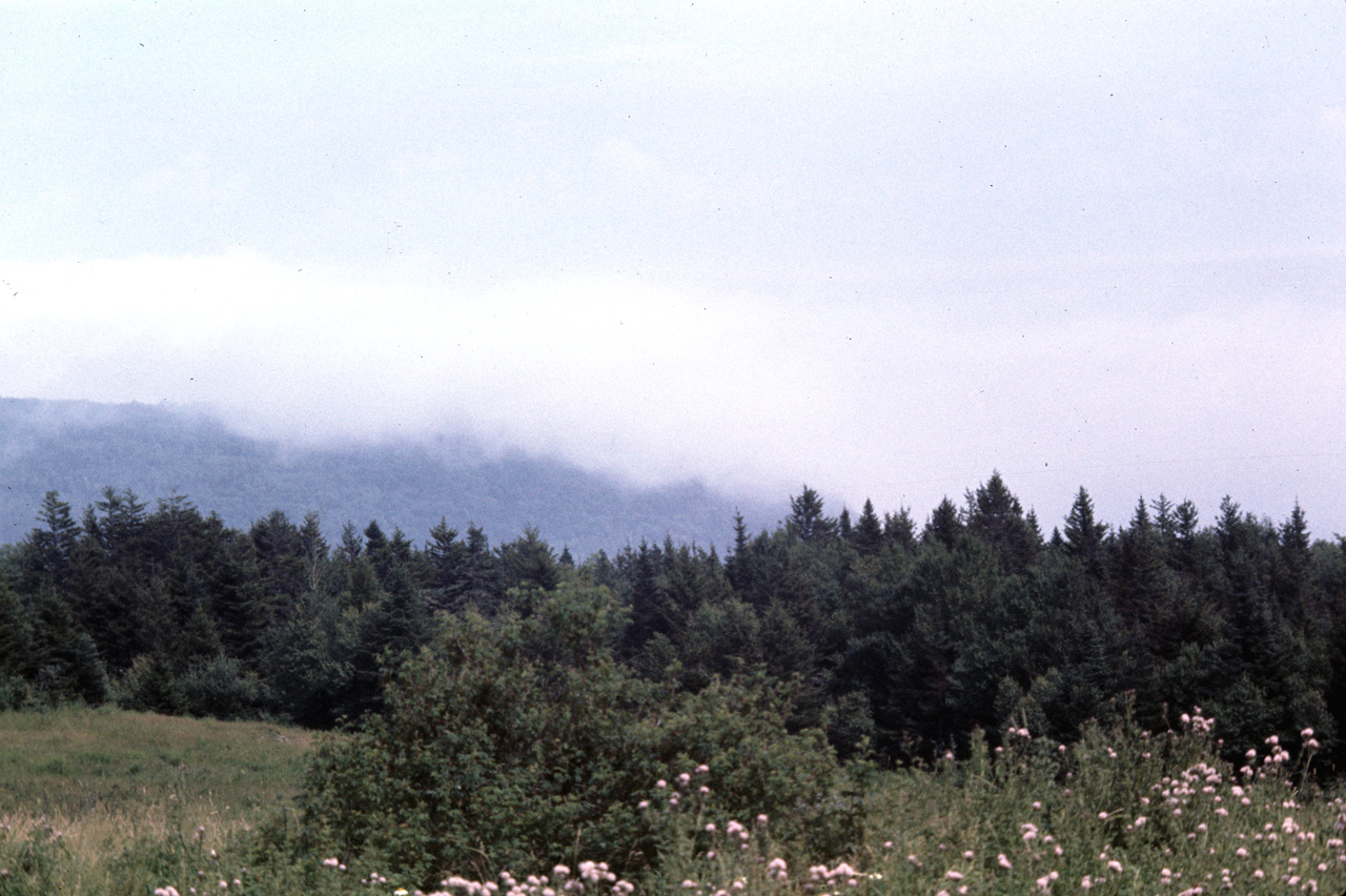 72-08-01, 006, Fundy Bay Park, New Brunswick, Ca