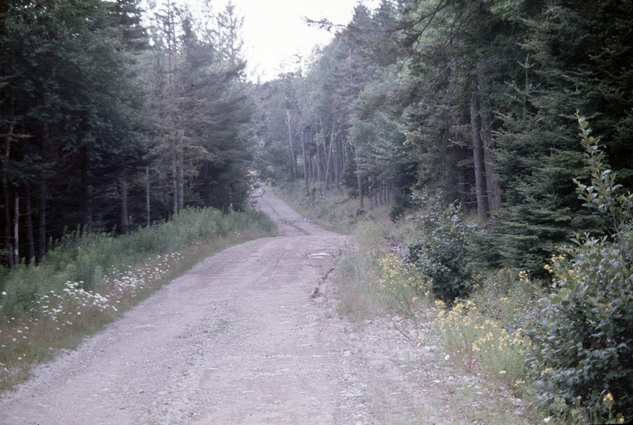 72-08-01, 007, Fundy Bay Park, New Brunswick, Ca