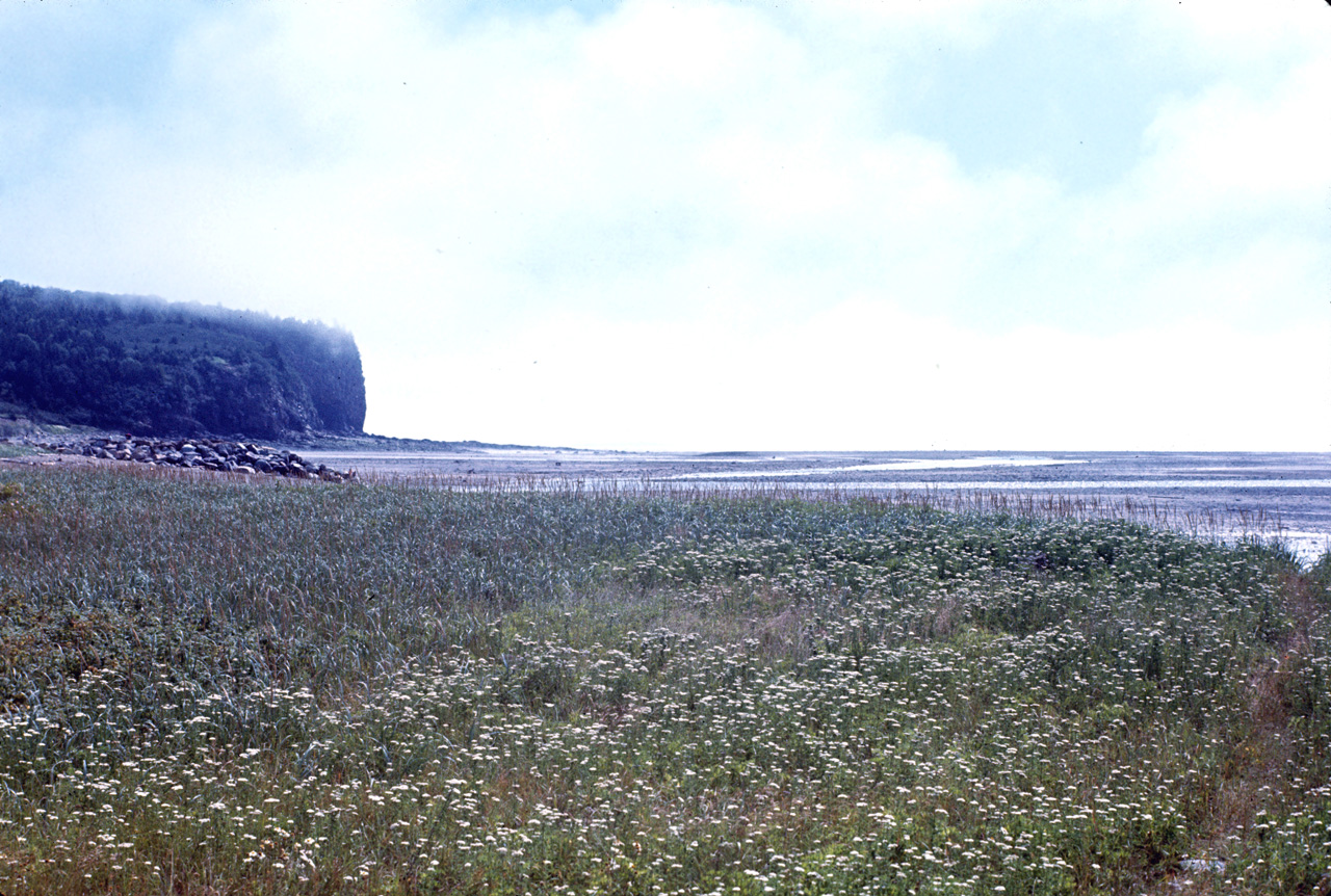 72-08-01, 018, Fundy Bay, Low Tide, New Brunswick, Ca