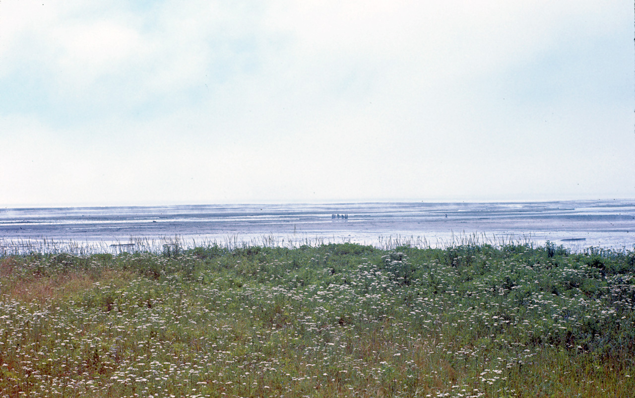 72-08-01, 019, Fundy Bay, Low Tide, New Brunswick, Ca