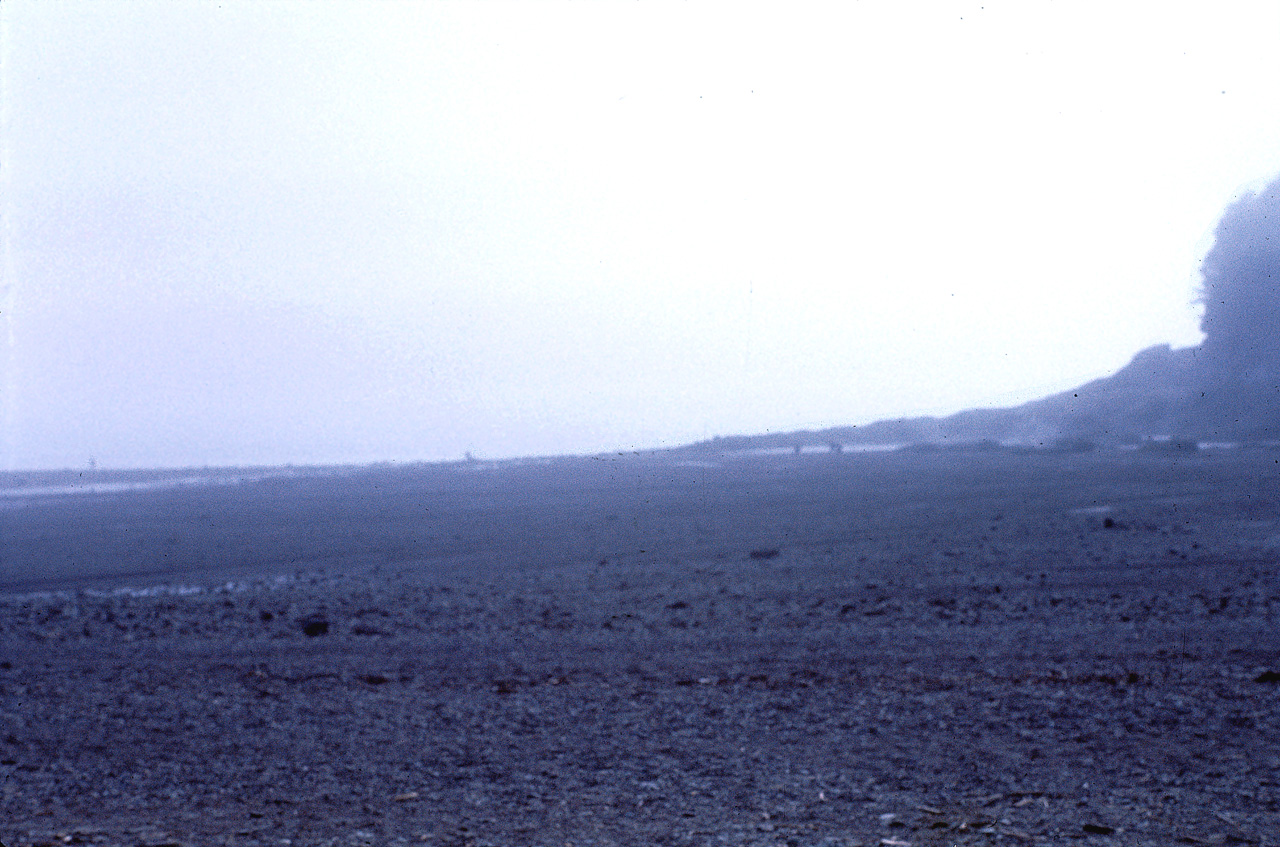 72-08-01, 020, Fundy Bay, Low Tide, New Brunswick, Ca