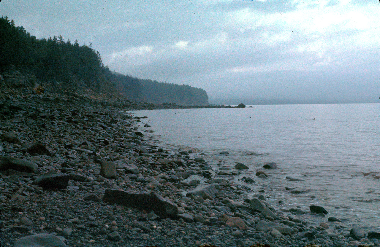 72-08-01, 022, Fundy Bay, Tide Going Out, New Brunswick, Ca