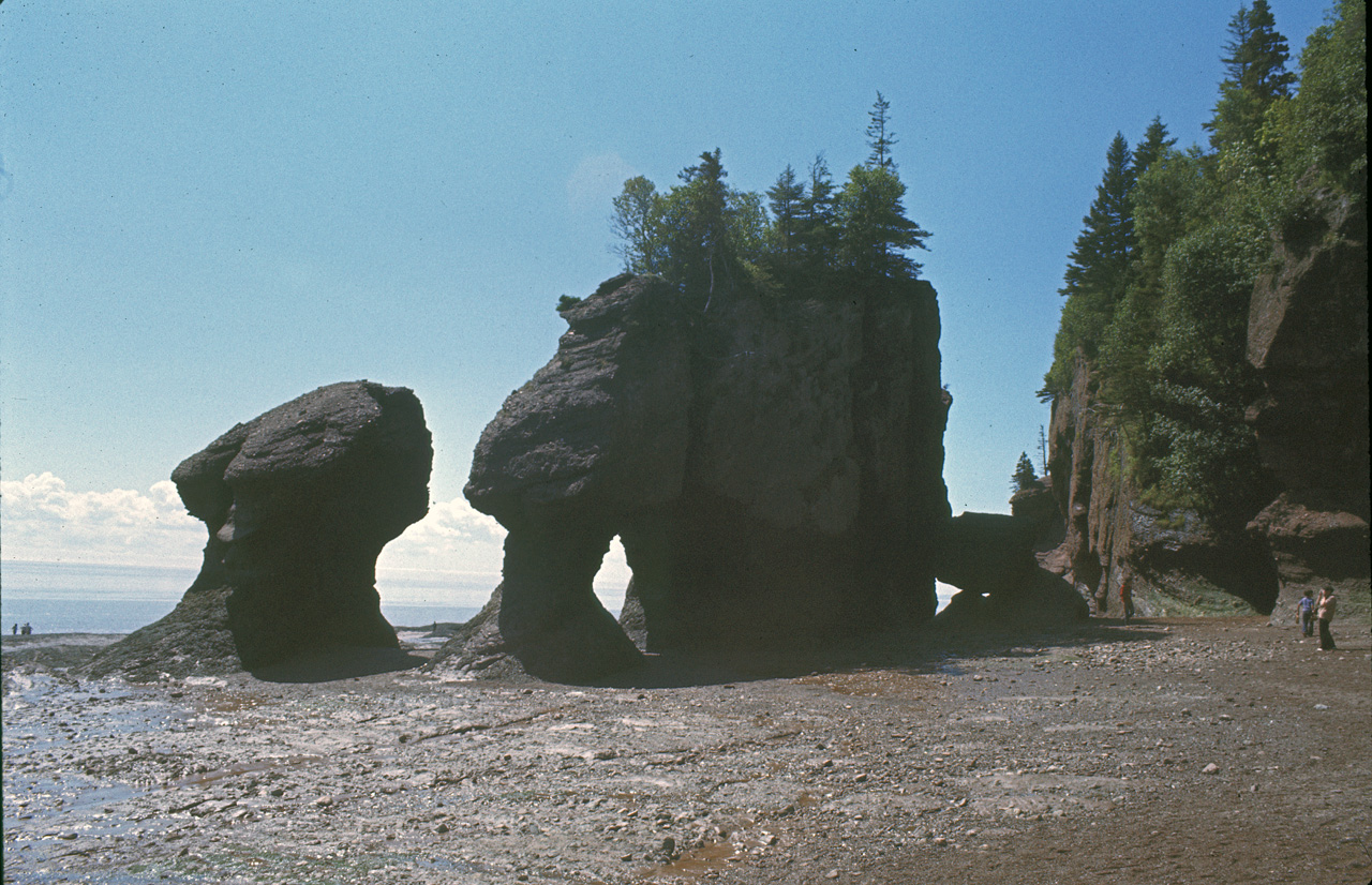 72-08-01, 025, Fundy Bay, Hope Well Cape, the Rocks, NB, Ca