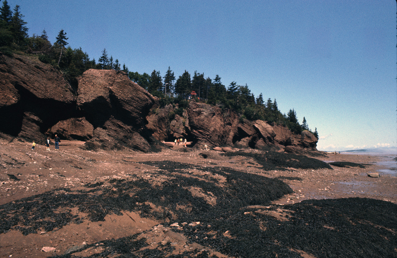 72-08-01, 027, Fundy Bay, Hope Well Cape, the Rocks, NB, Ca