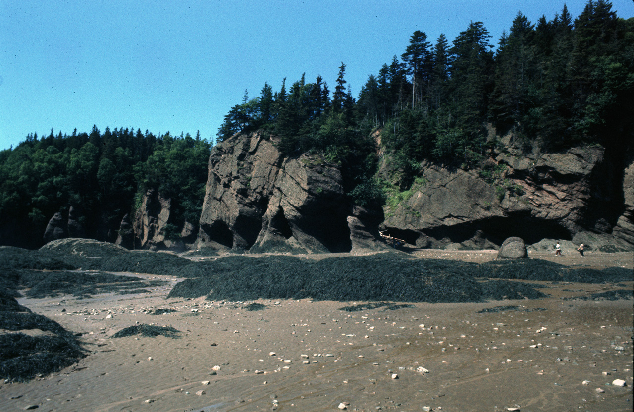 72-08-01, 028, Fundy Bay, Hope Well Cape, the Rocks, NB, Ca