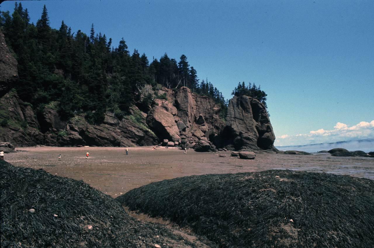 72-08-01, 031, Fundy Bay, Hope Well Cape, the Rocks, NB, Ca