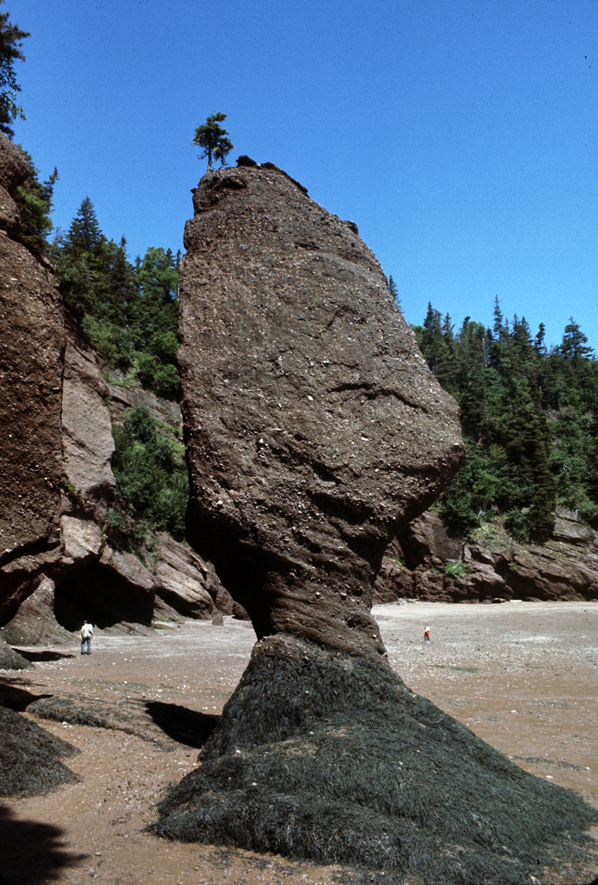 72-08-01, 032, Fundy Bay, Hope Well Cape, the Rocks, NB, Ca