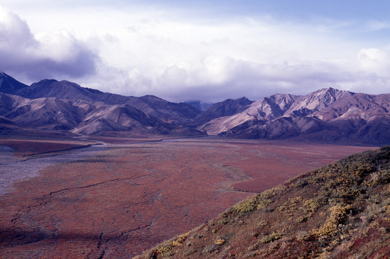 72-09-01, 086, Mt McKinley Park, Alaska