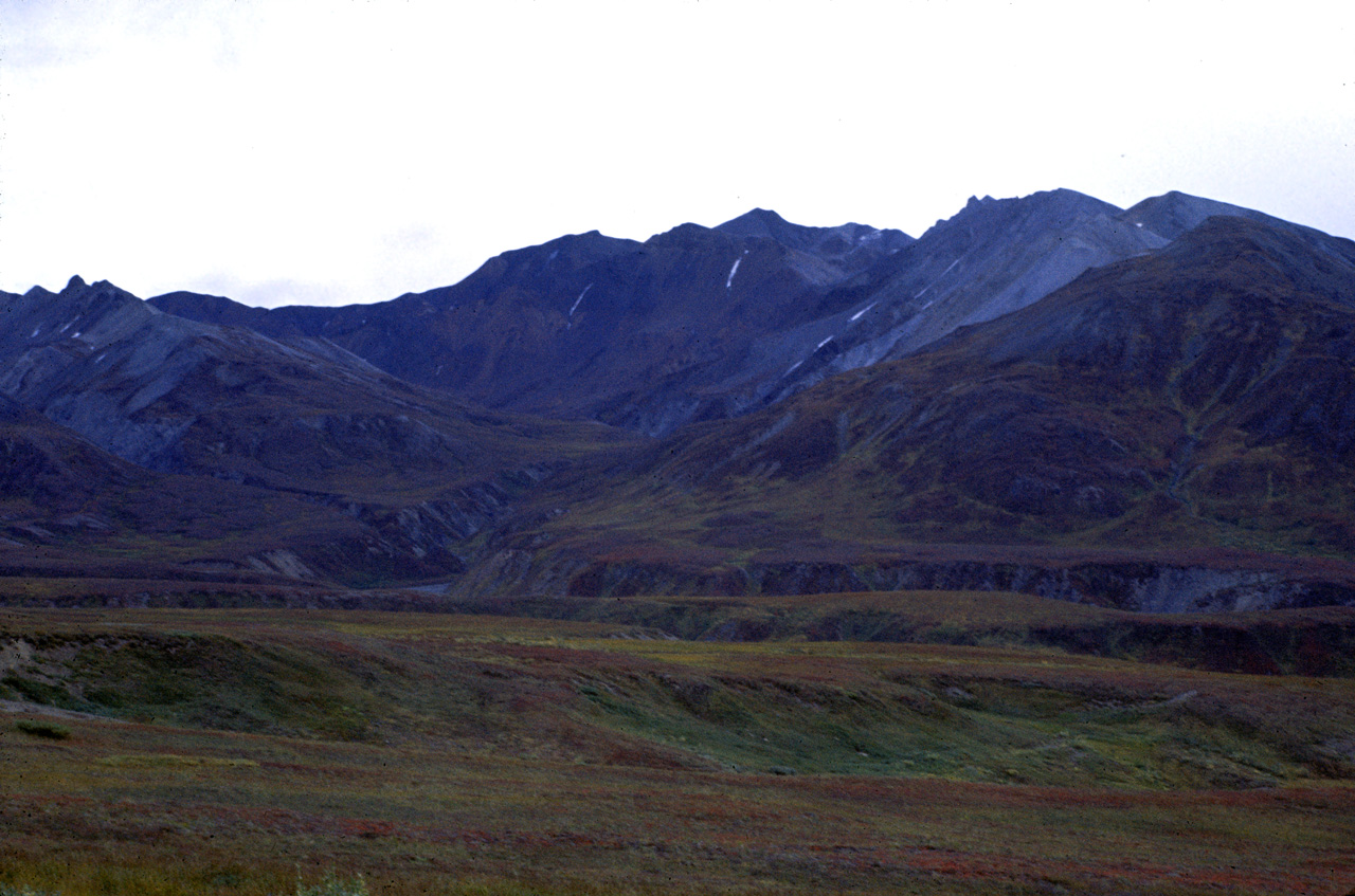 72-09-01, 105, Mt McKinley Park, Alaska