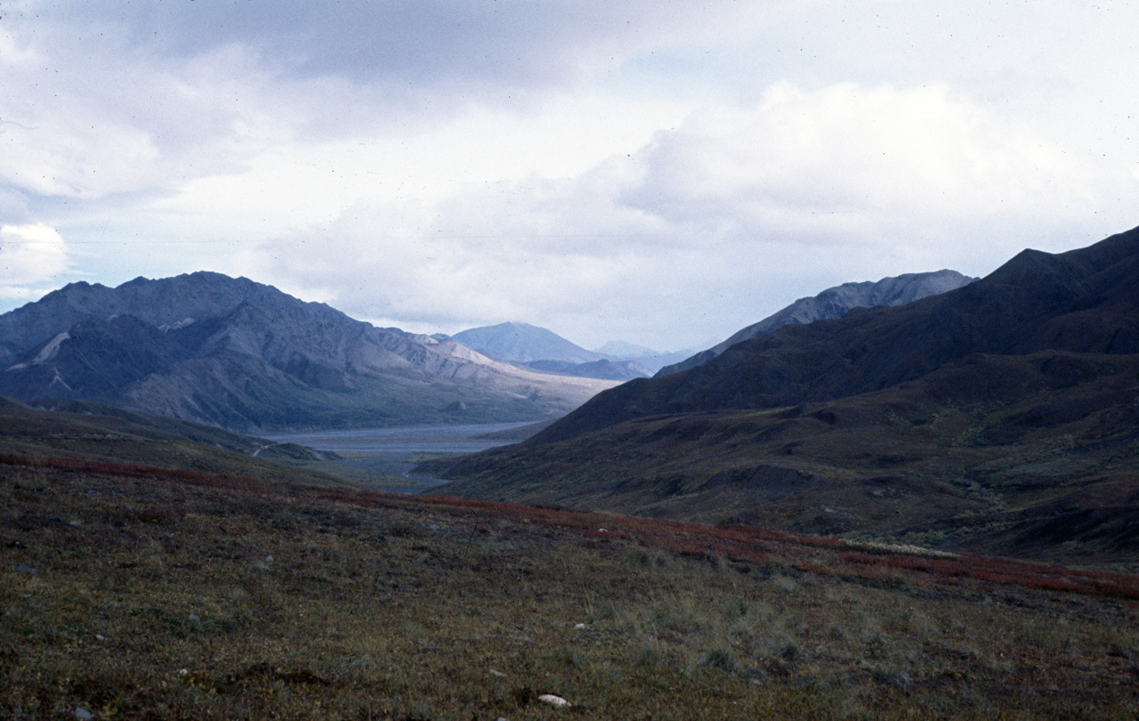 72-09-01, 109, Mt McKinley Park, Alaska