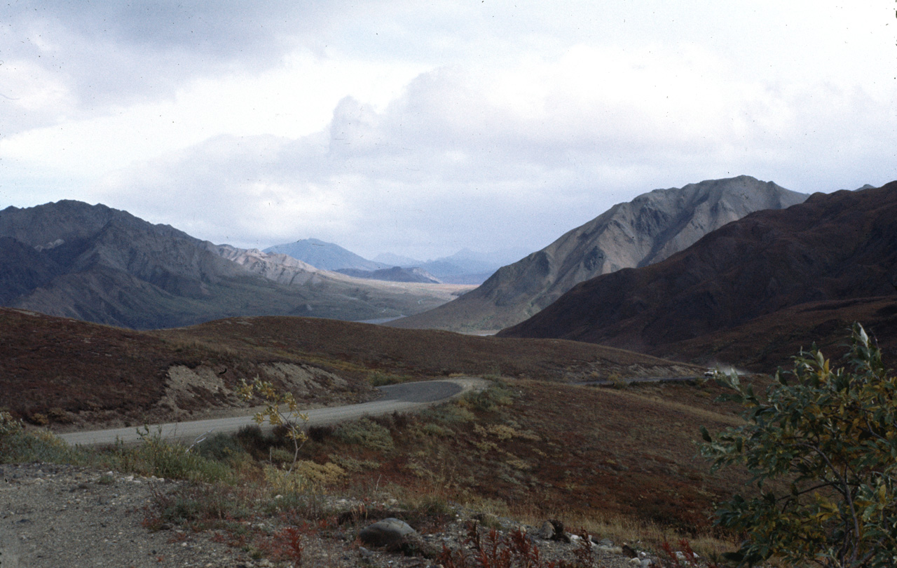 72-09-01, 110, Mt McKinley Park, Alaska