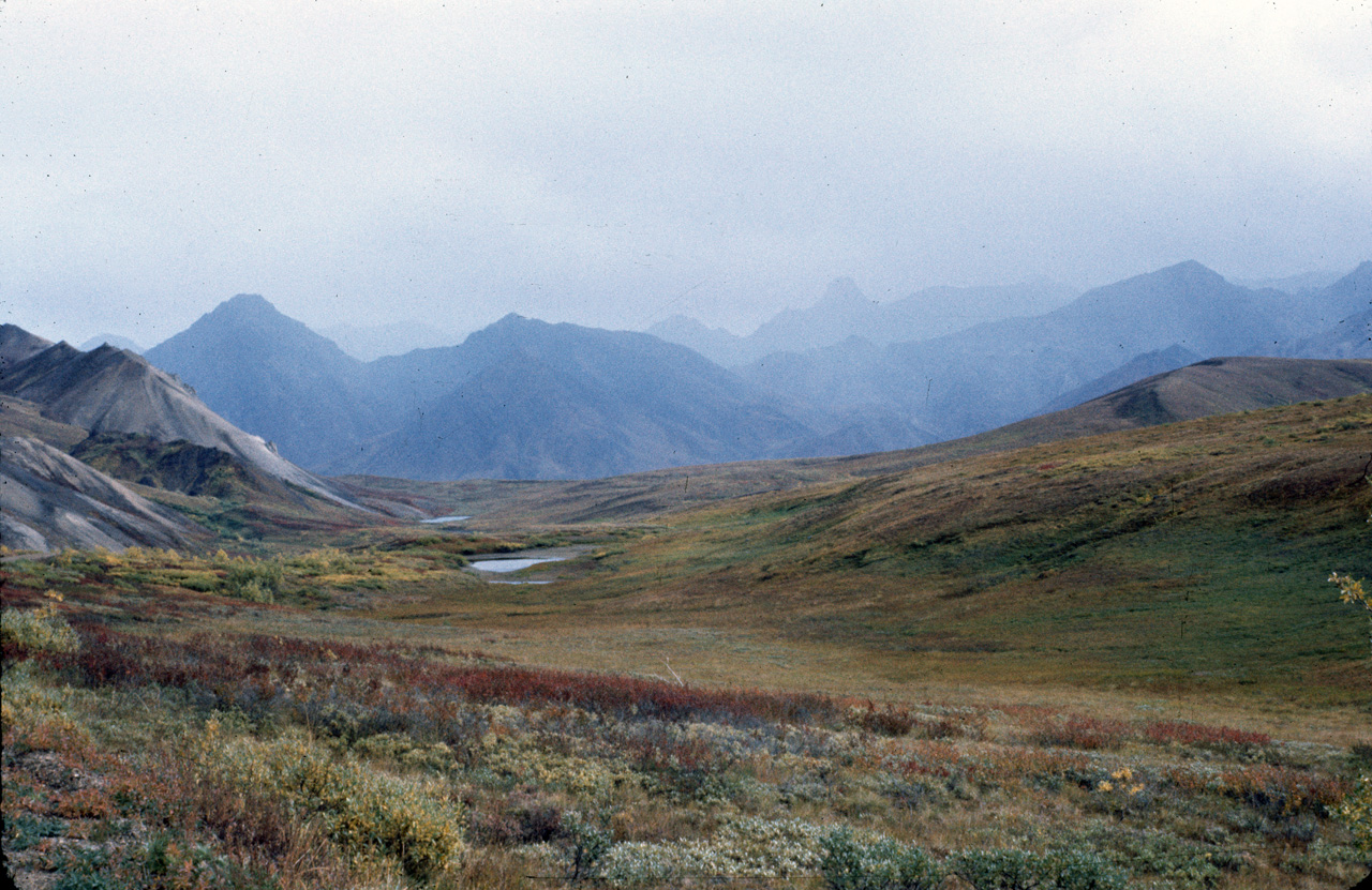 72-09-01, 115, Mt McKinley Park, Alaska