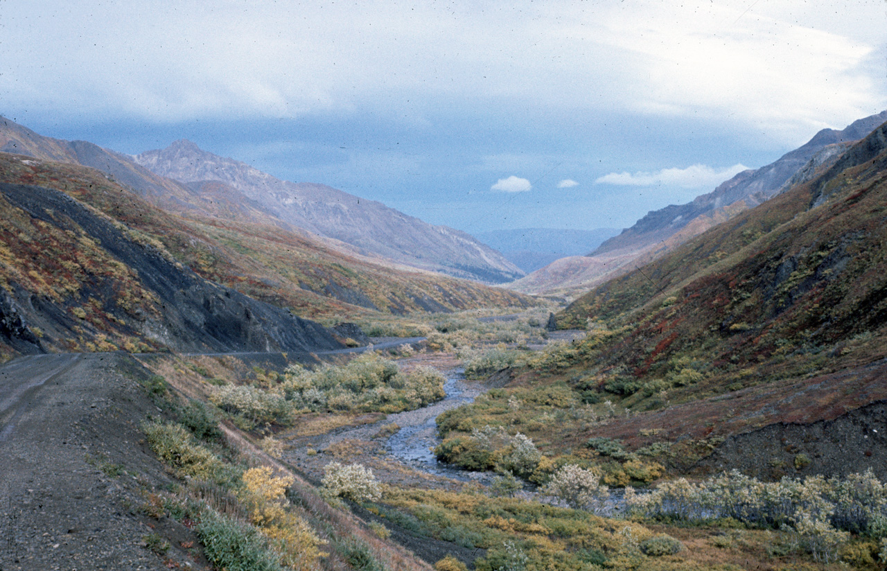 72-09-01, 116, Mt McKinley Park, Alaska