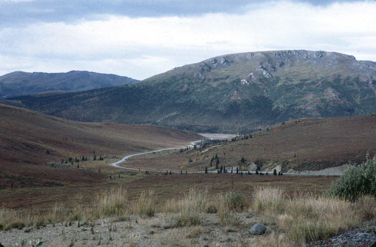 72-09-01, 118, Mt McKinley Park, Alaska