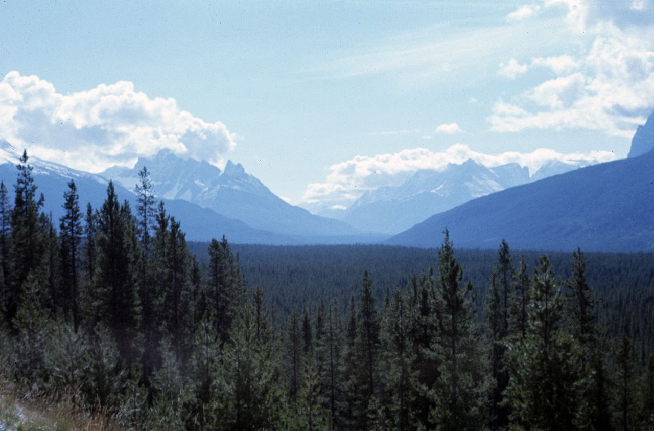 72-09-09, 145, Jasper Park, Athabaska Valley, Alberta, Ca