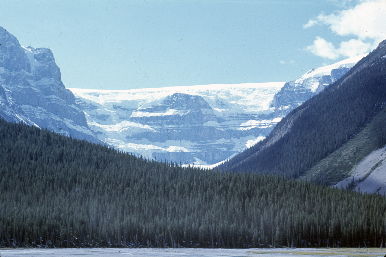 72-09-09, 151, Jasper Park, Stutfield Glacier, Alberta, Ca