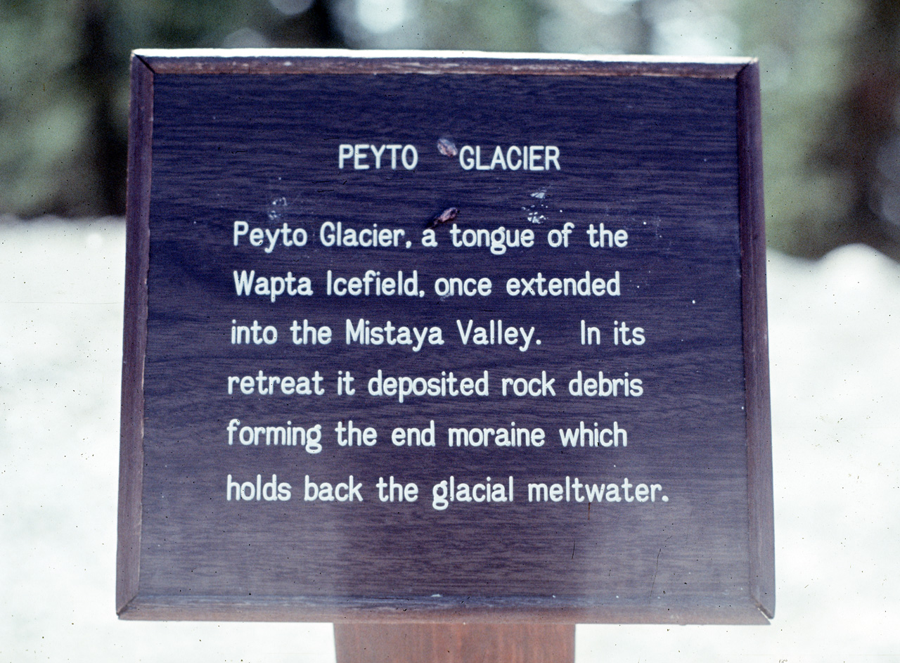 72-09-09, 173, Banff Park, Peyto Glacier Sign, Alberta, Ca