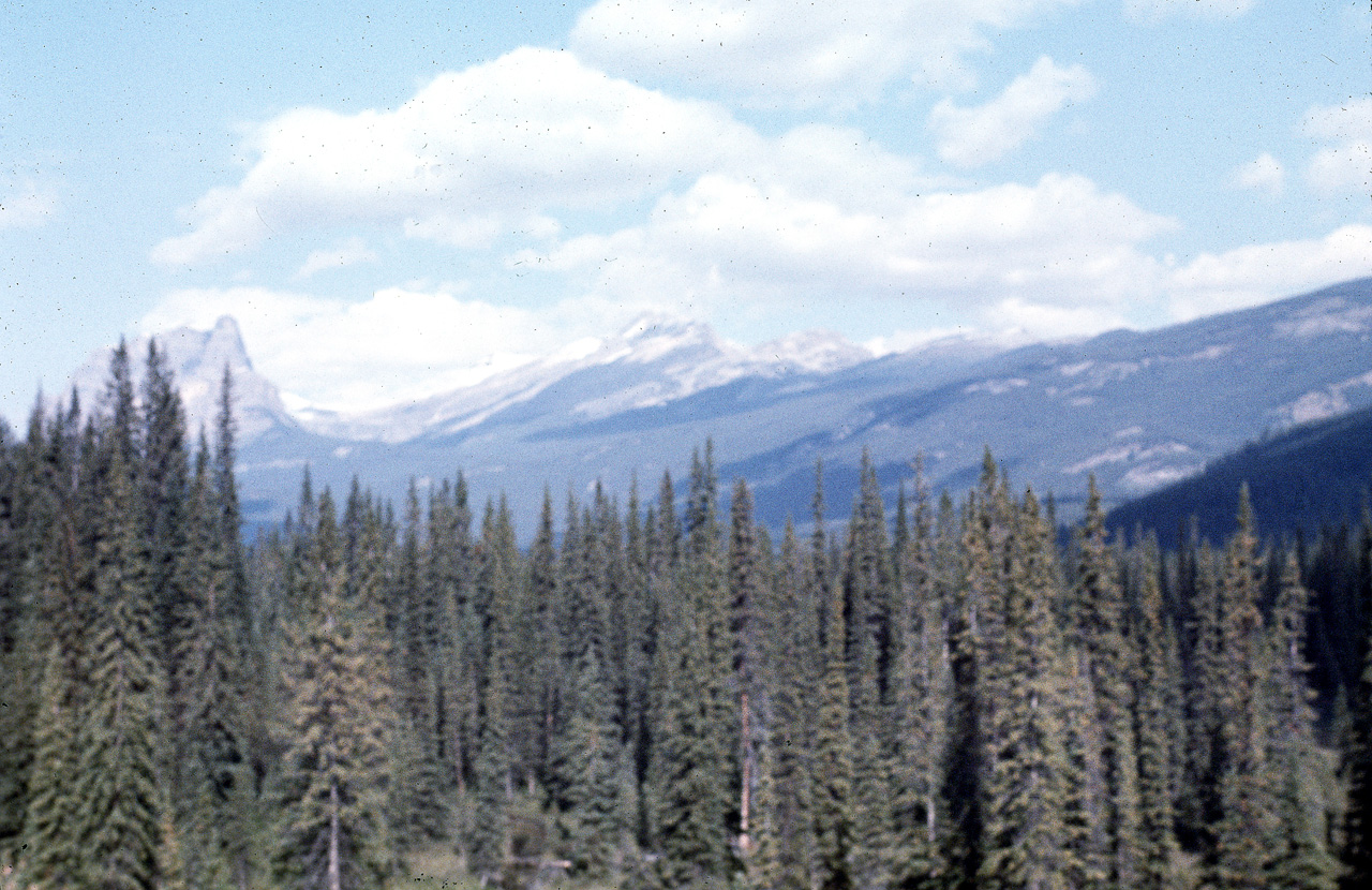 72-09-09, 189, Banff Park, Castle Mt, Alberta, Ca