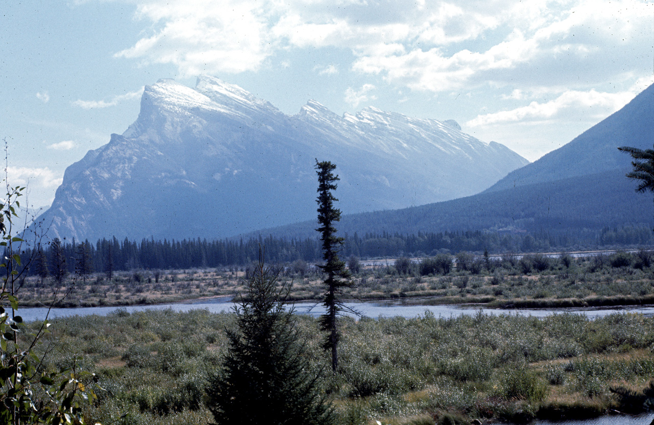 72-09-09, 196, Banff Park, Road Side View, Alberta, Ca