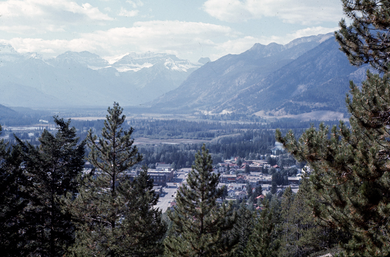 72-09-09, 206, Banff Park, Road Side View, Alberta, Ca