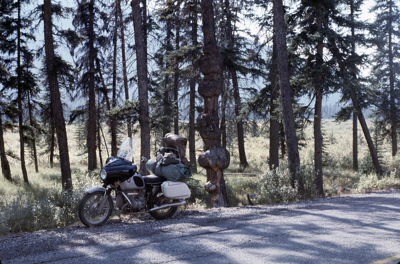 72-09-09, 214, Banff Park, Motorcycle & Tree Knots, Alberta