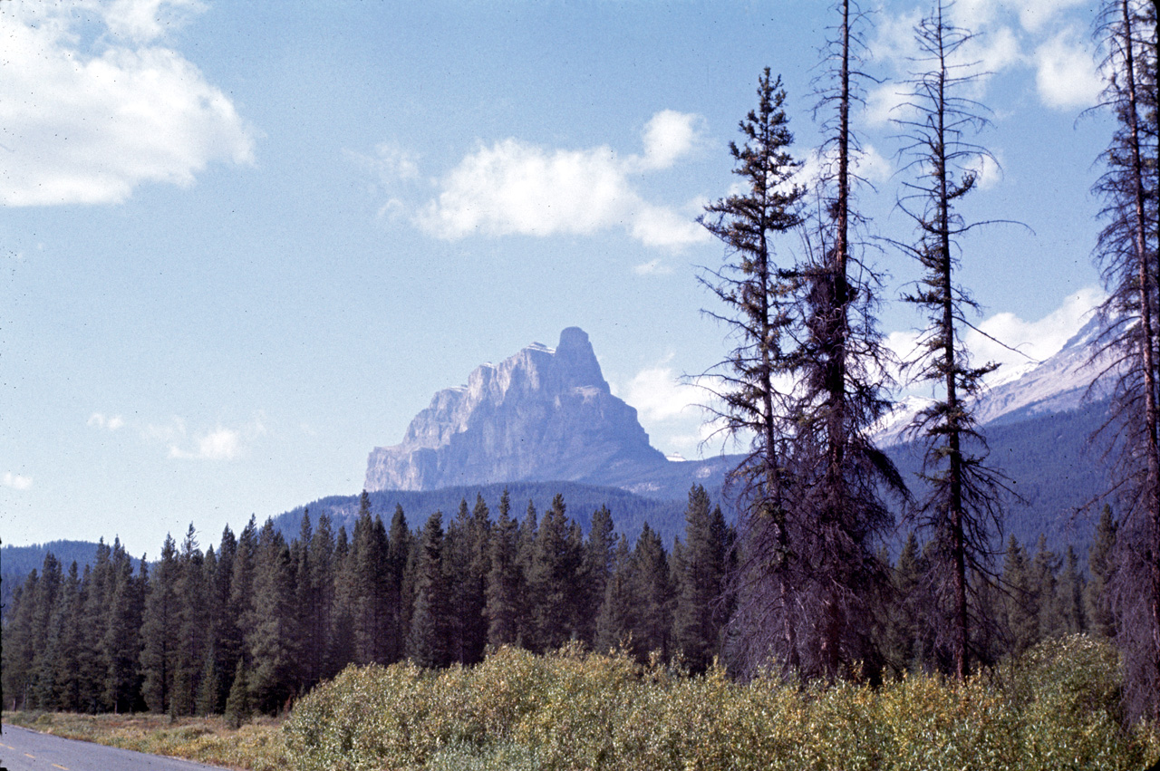 72-09-09, 215, Banff Park, Road Side View, Alberta, Ca