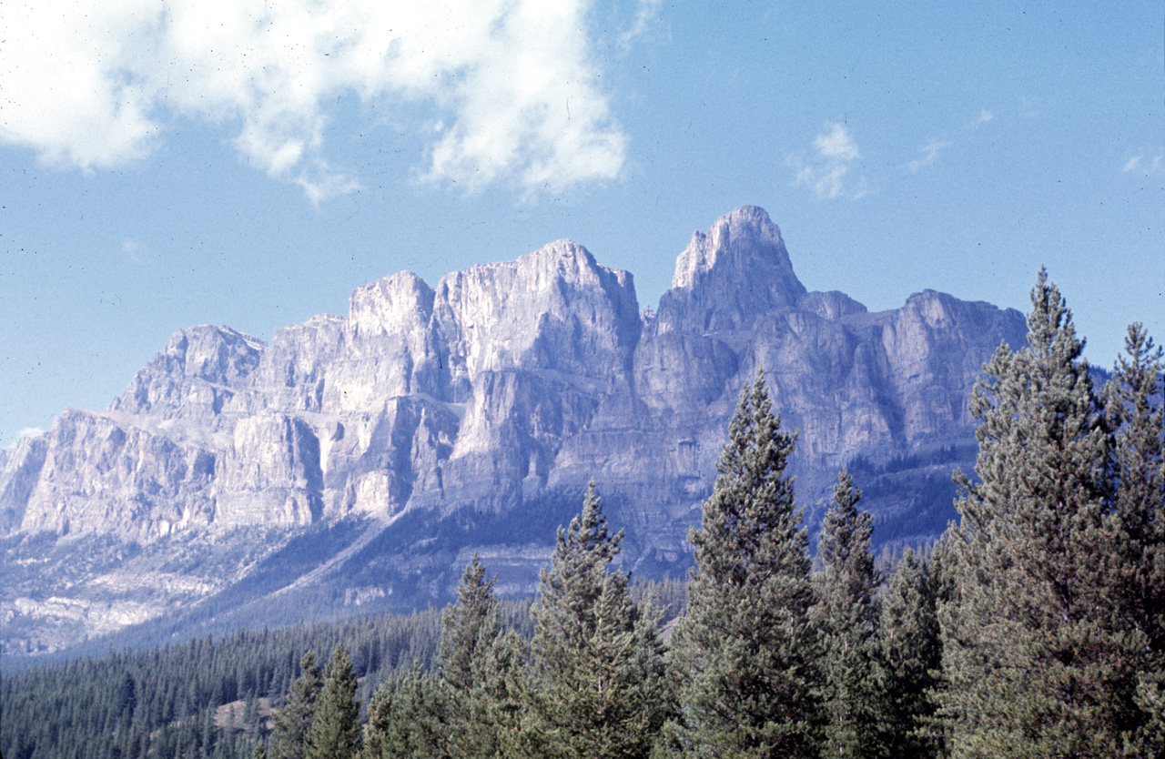 72-09-09, 218, Banff Park, Road Side View, Alberta, Ca