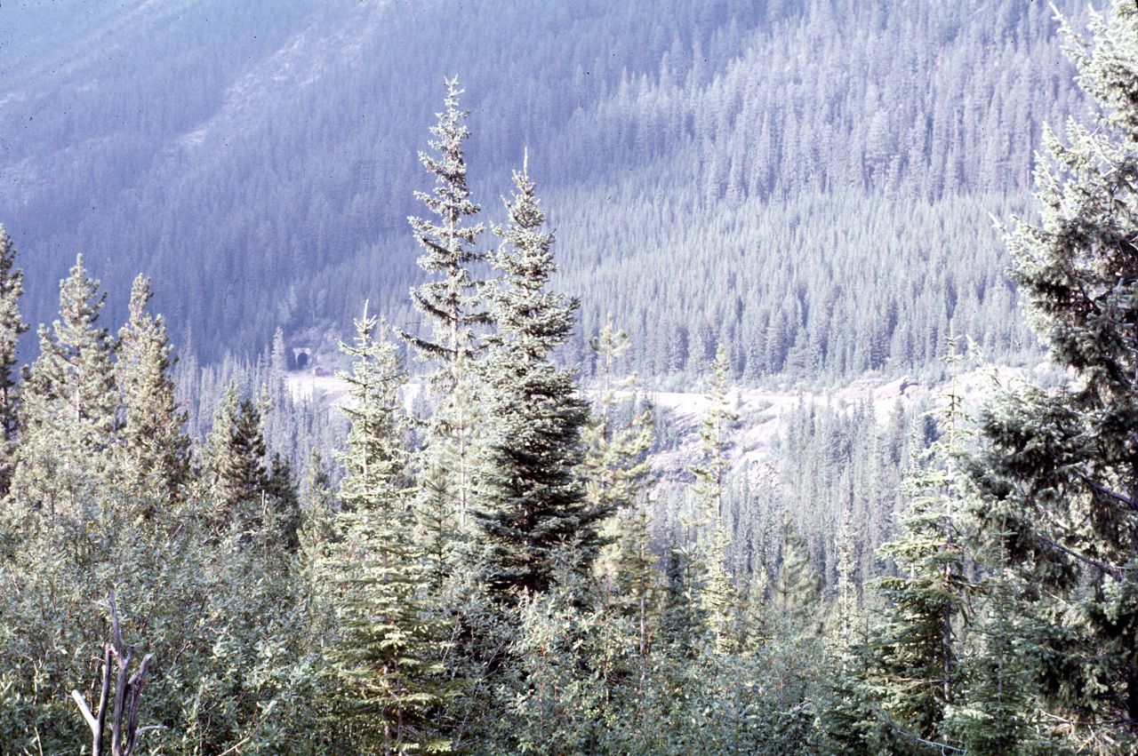 72-09-15, 224, Yoho Park, Spiral Tunnel, BC, Ca