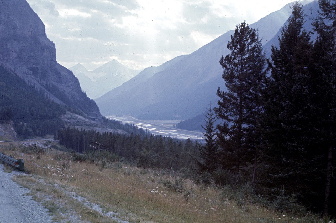 72-09-15, 225, Yoho Park, Road Side View, BC, Ca