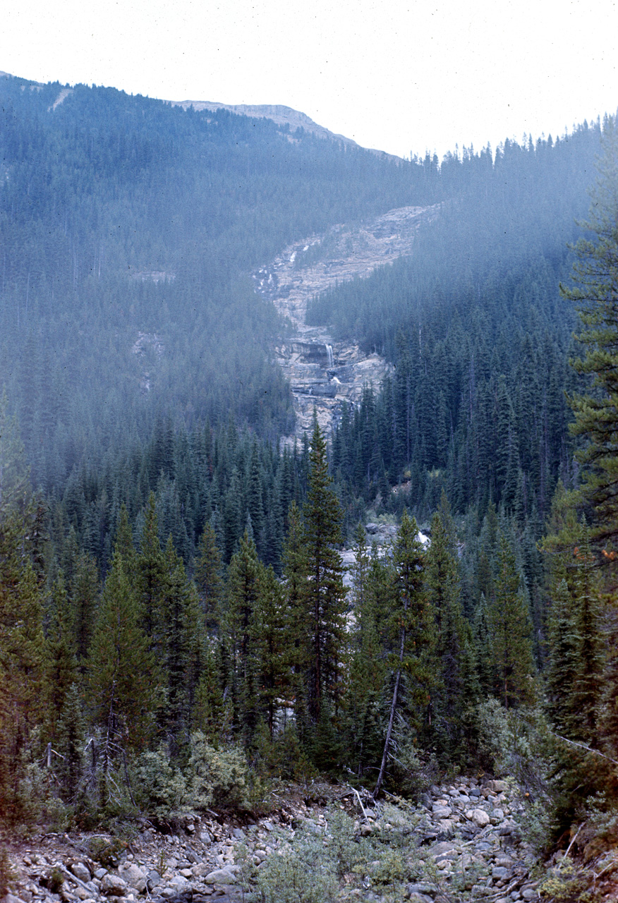 72-09-15, 229, Yoho Park, Tail up to Glacier, BC, Ca