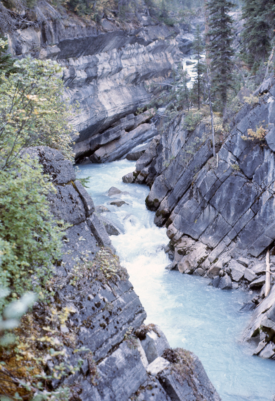 72-09-15, 230, Yoho Park, Tail up to Glacier, BC, Ca