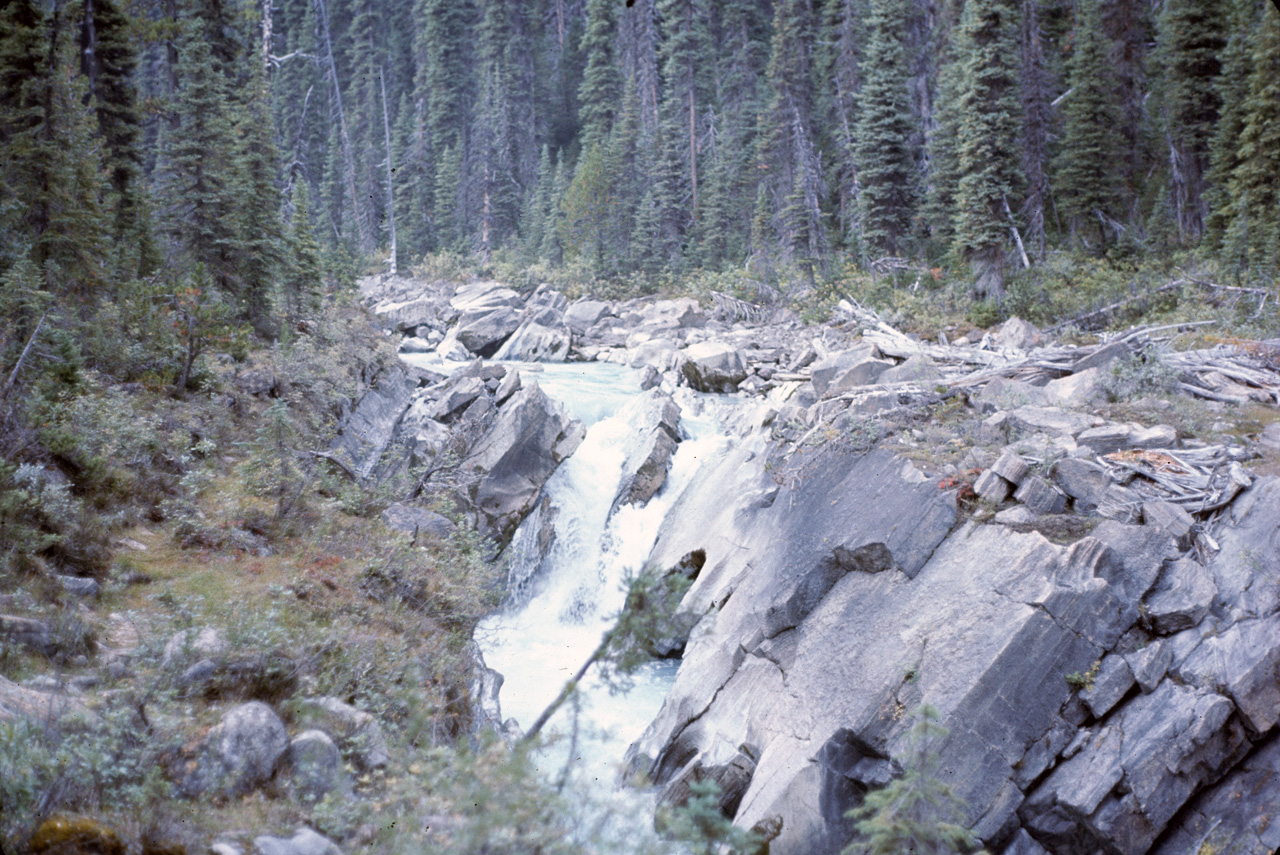 72-09-15, 231, Yoho Park, Tail up to Glacier, BC, Ca