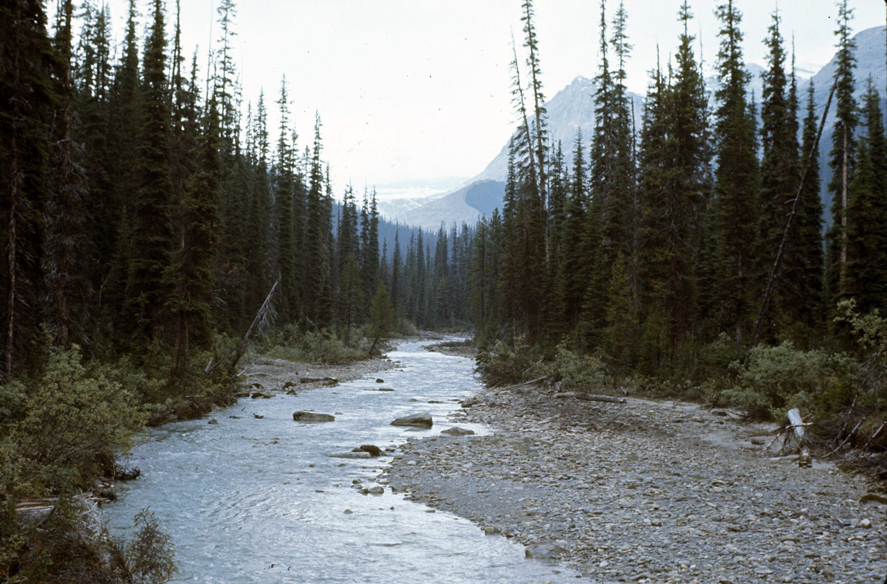 72-09-15, 233, Yoho Park, Tail up to Glacier, BC, Ca