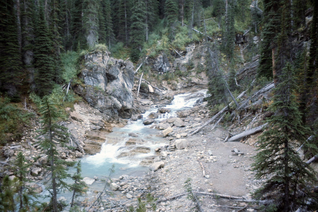 72-09-15, 236, Yoho Park, Tail up to Glacier, BC, Ca