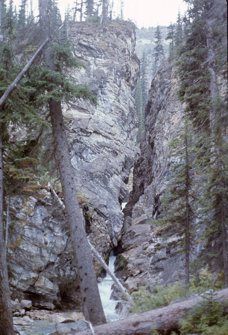 72-09-15, 237, Yoho Park, Tail up to Glacier, BC, Ca