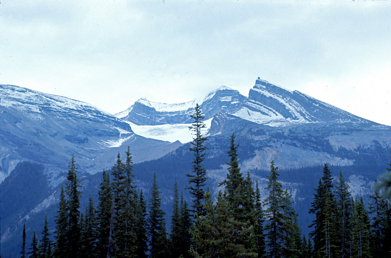 72-09-15, 239, Yoho Park, Tail up to Glacier, BC, Ca