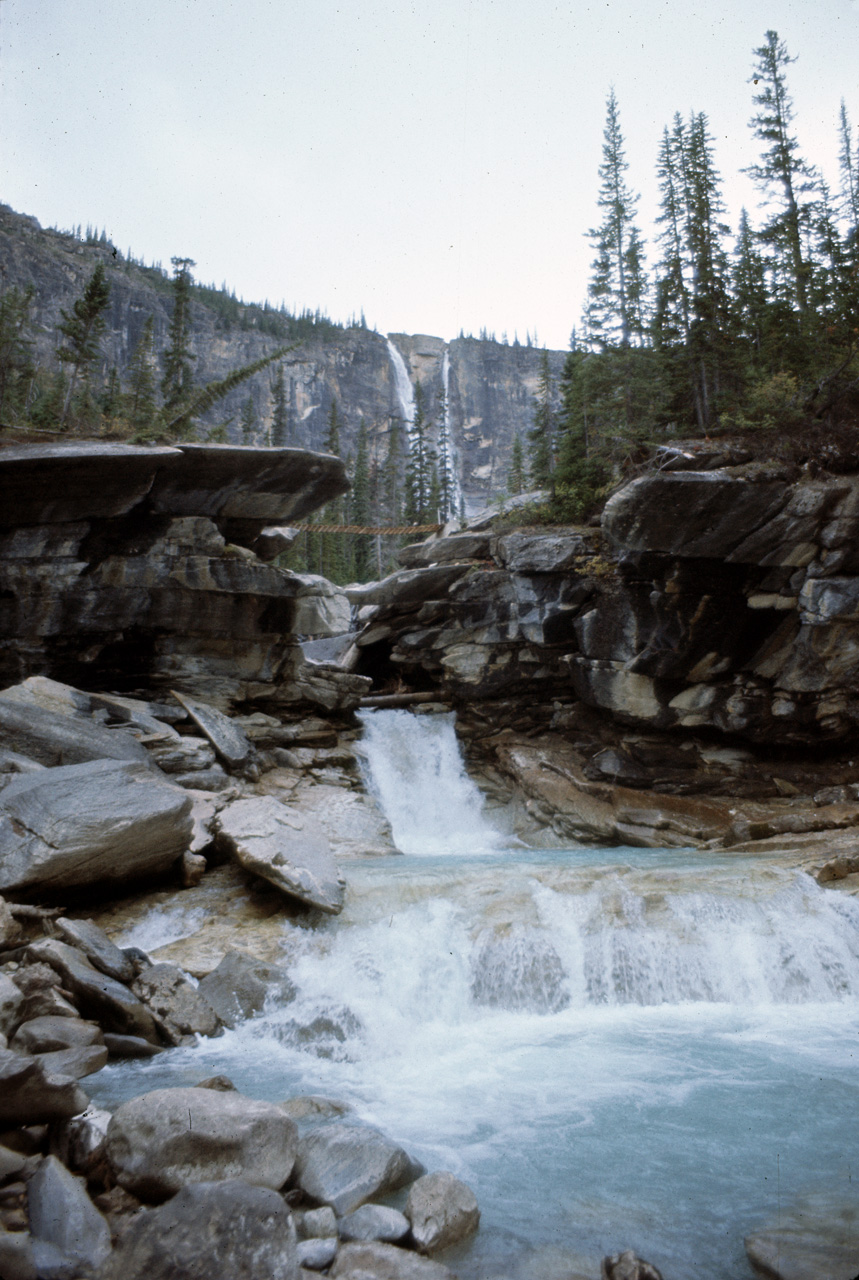 72-09-15, 241, Yoho Park, Tail up to Glacier, BC, Ca