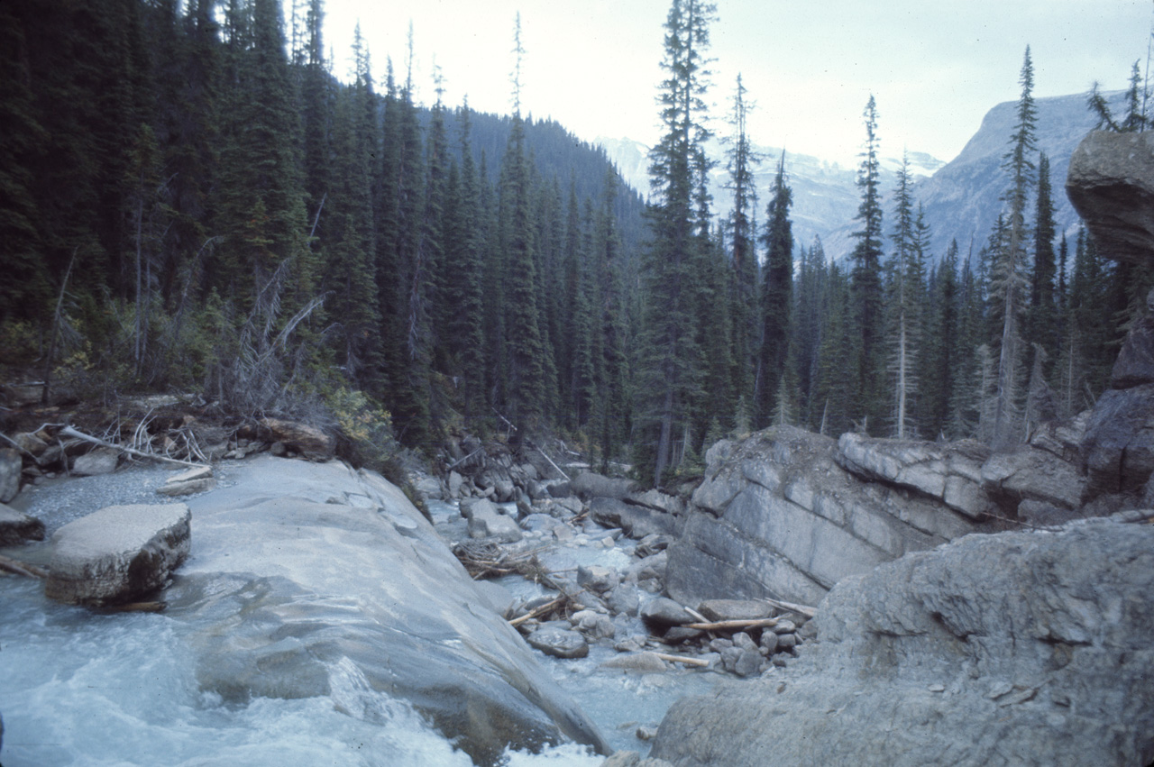 72-09-15, 242, Yoho Park, Tail up to Glacier, BC, Ca