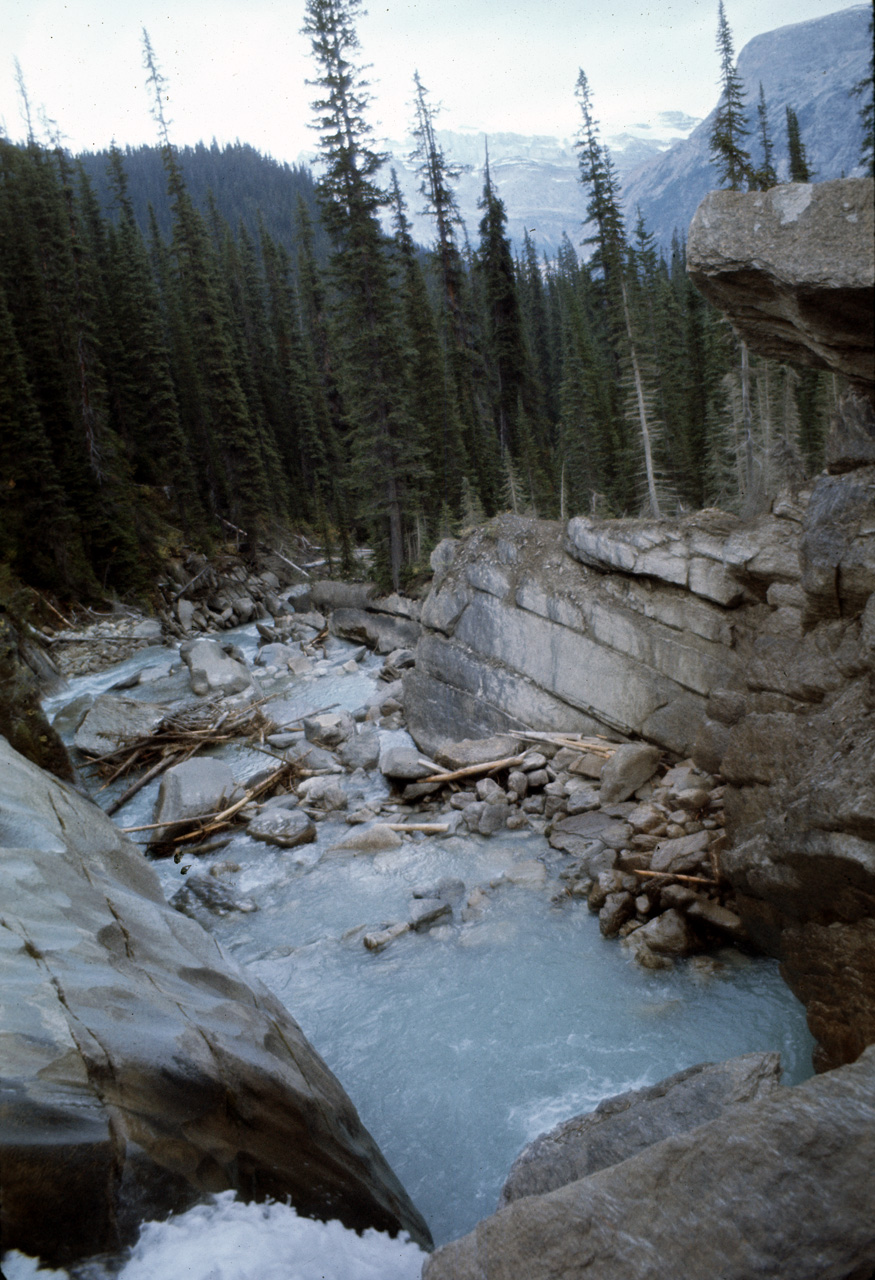 72-09-15, 243, Yoho Park, Tail up to Glacier, BC, Ca