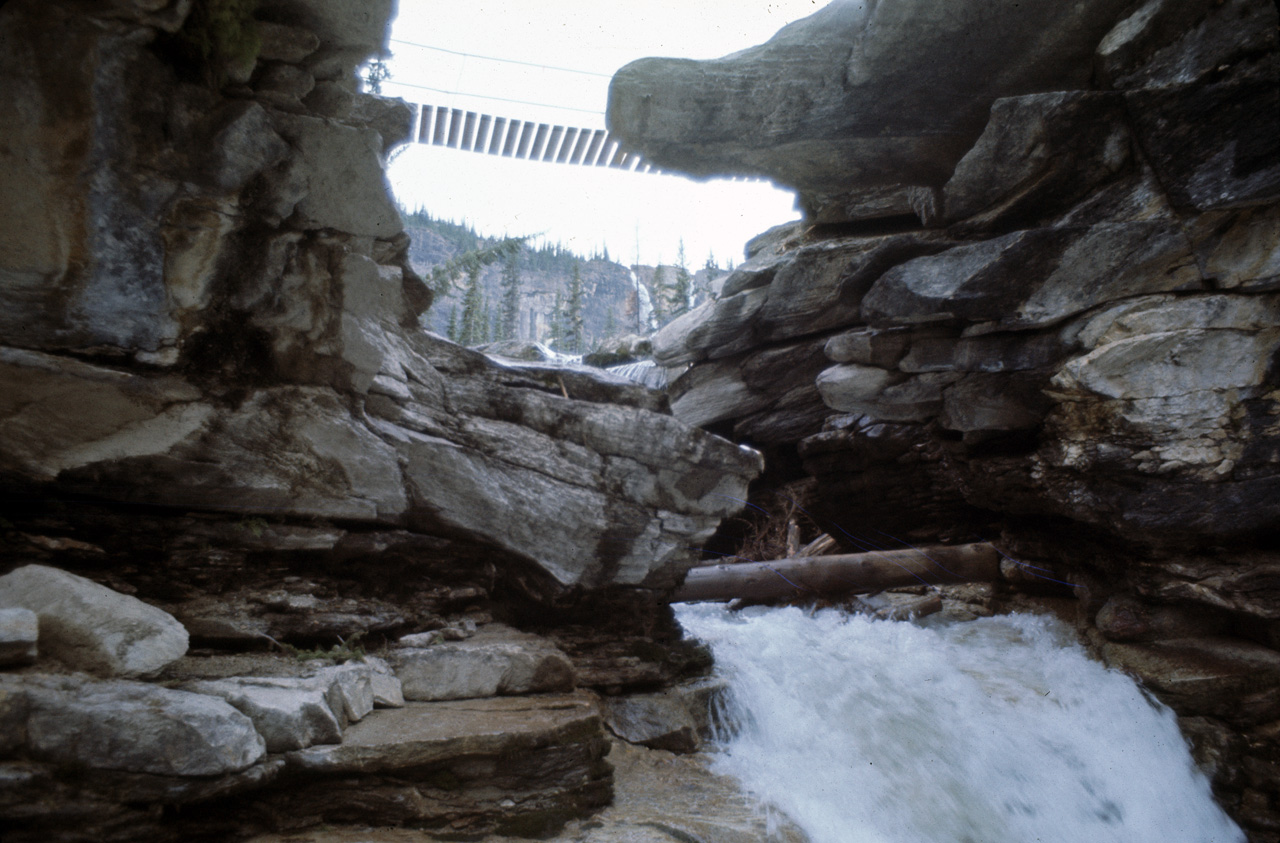 72-09-15, 244, Yoho Park, Tail up to Glacier, BC, Ca