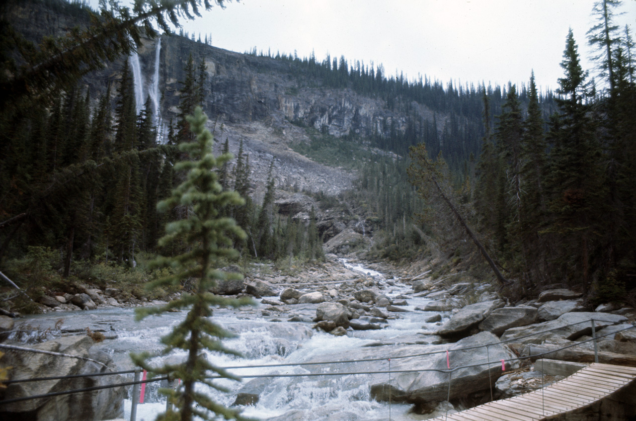 72-09-15, 246, Yoho Park, Tail up to Glacier, BC, Ca