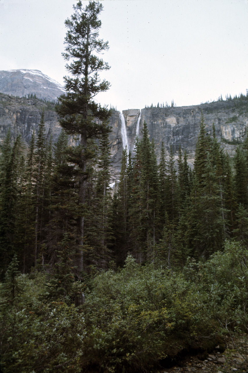 72-09-15, 248, Yoho Park, Tail up to Glacier, BC, Ca